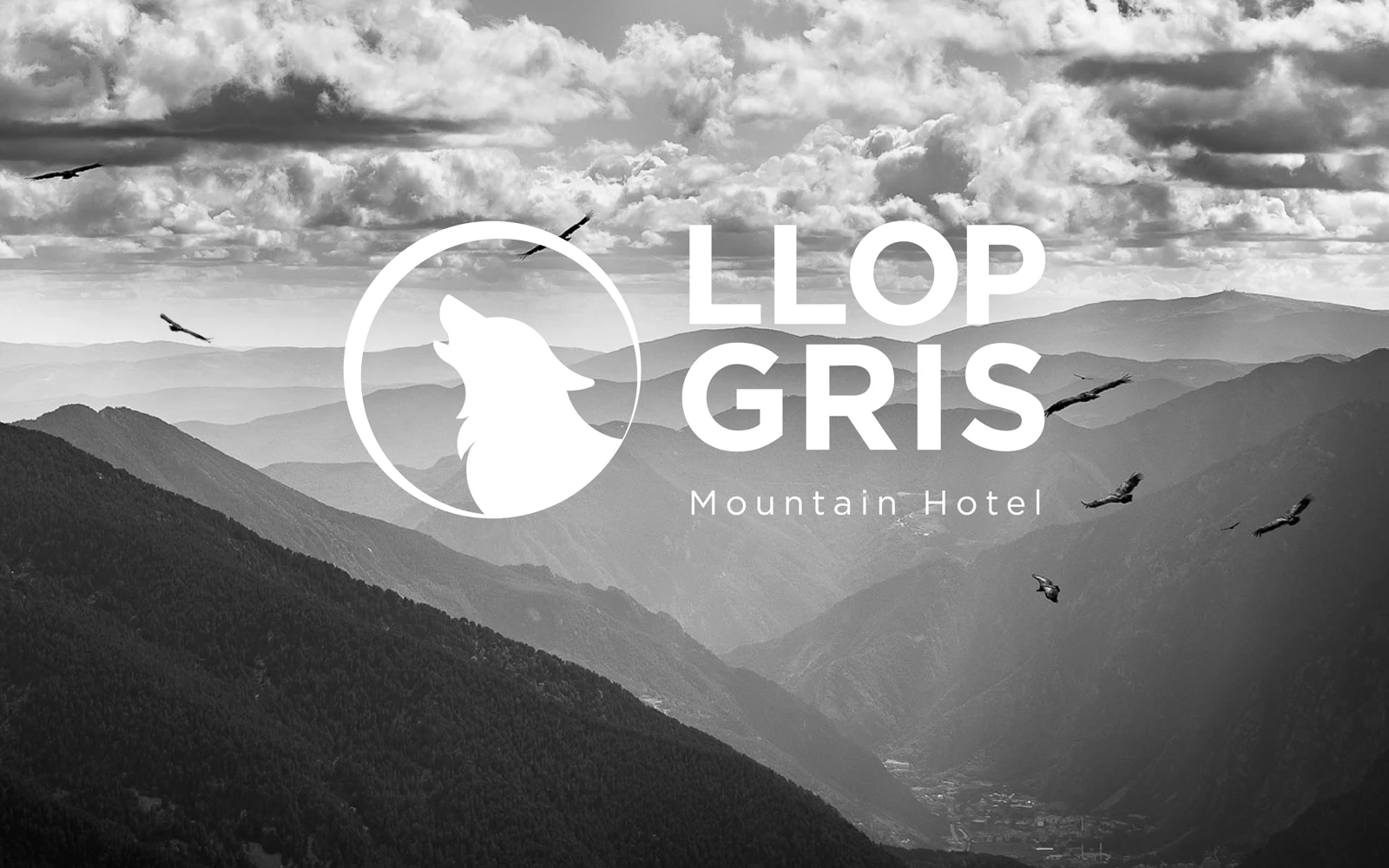 logo en niebla