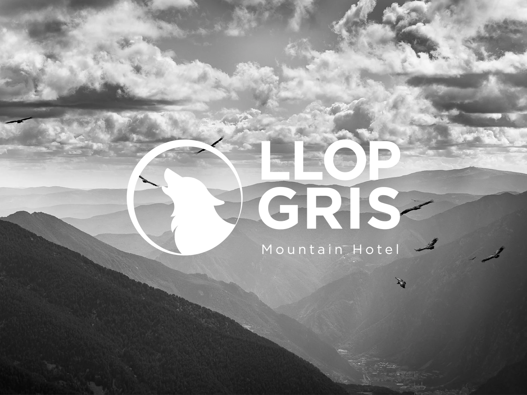 llop gris — establishing shot